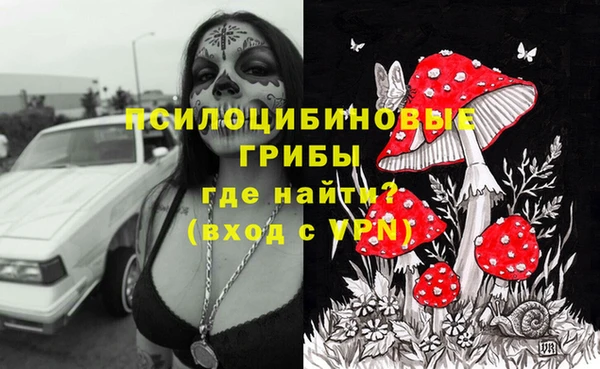 дживик Беломорск
