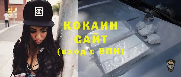 ECSTASY Белокуриха