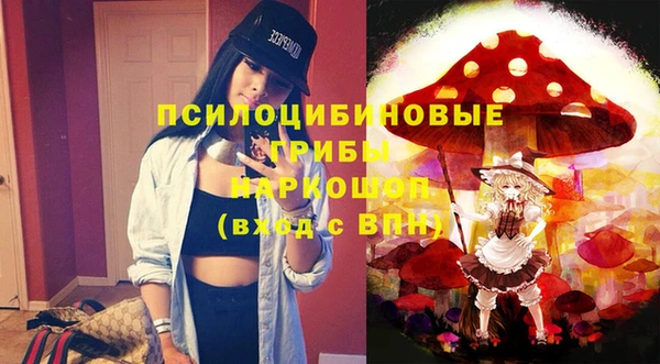 PSILOCYBIN Белоозёрский
