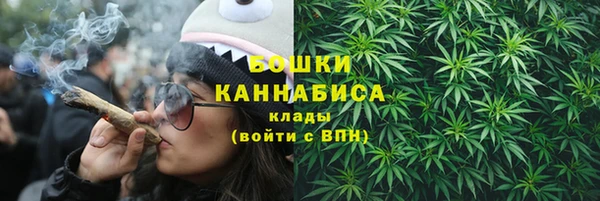 дживик Беломорск