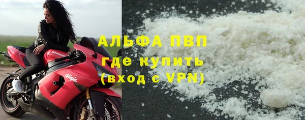 ECSTASY Белокуриха