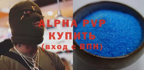 ECSTASY Белокуриха